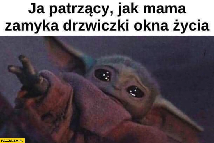 
    Mały Yoda ja patrzący jak mama zamyka drzwiczki okna życia