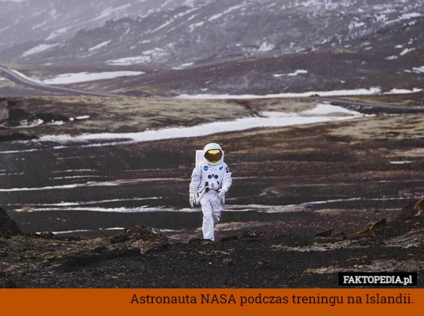 
    Astronauta NASA podczas treningu na Islandii.