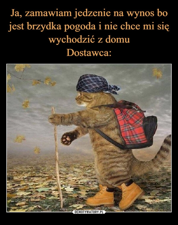 
    Ja, zamawiam jedzenie na wynos bo jest brzydka pogoda i nie chce mi się wychodzić z domu
Dostawca: