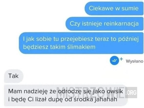
    Reinkarnacja