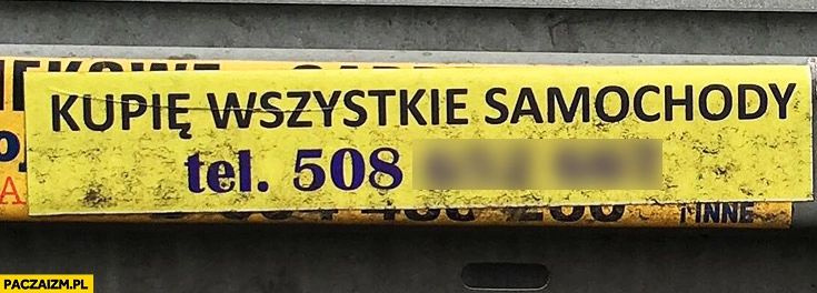 
    Kupię wszystkie samochody ogłoszenie