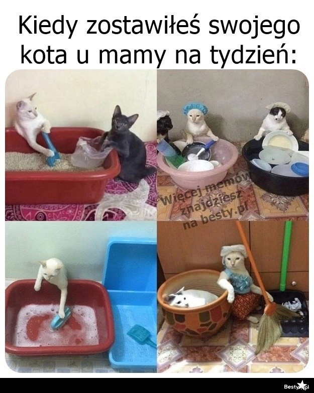 
    Chodzi jak w zegareczku 