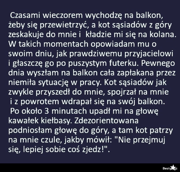 
    Kot sąsiadów 