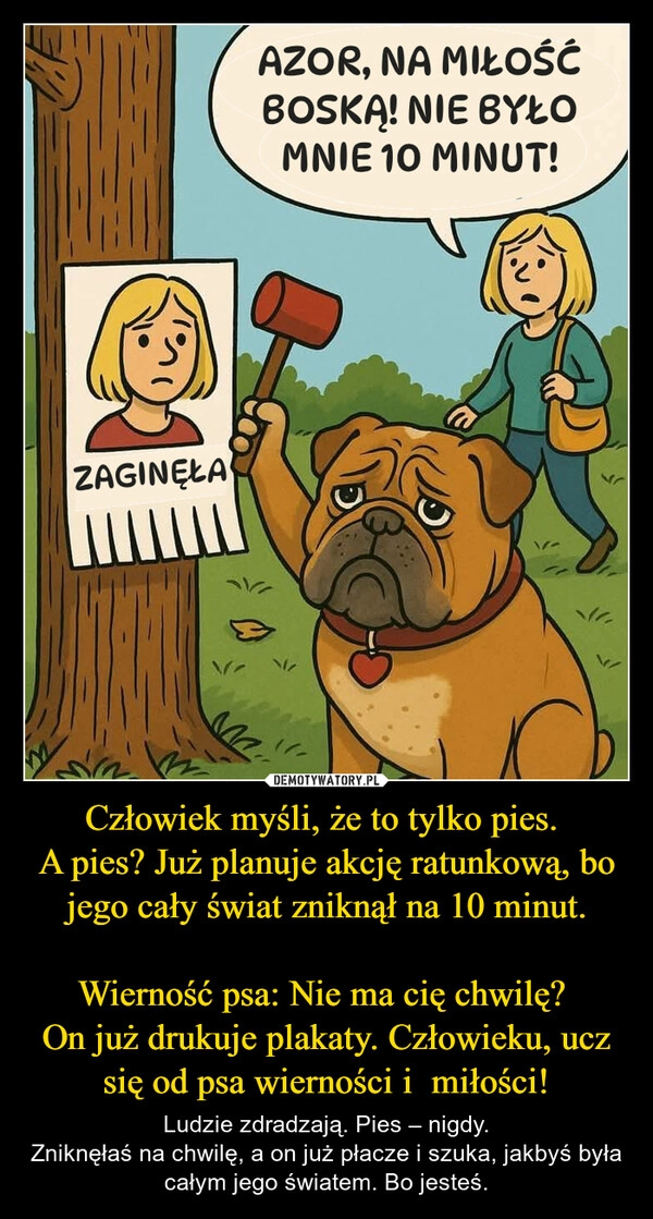 
    Człowiek myśli, że to tylko pies. 
A pies? Już planuje akcję ratunkową, bo jego cały świat zniknął na 10 minut.

Wierność psa: Nie ma cię chwilę? 
On już drukuje plakaty. Człowieku, ucz się od psa wierności i  miłości!