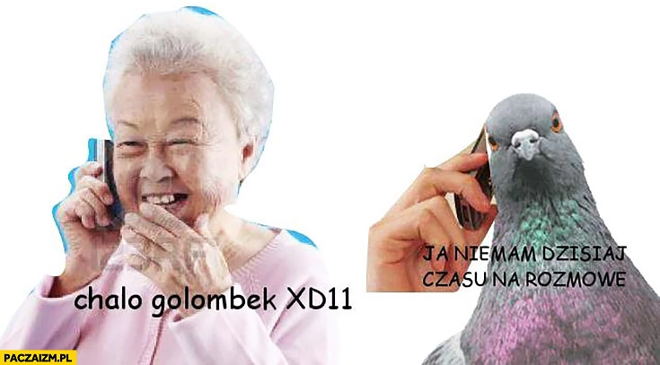 Halo gołąbek ja nie mam czasu dzisiaj na rozmowę