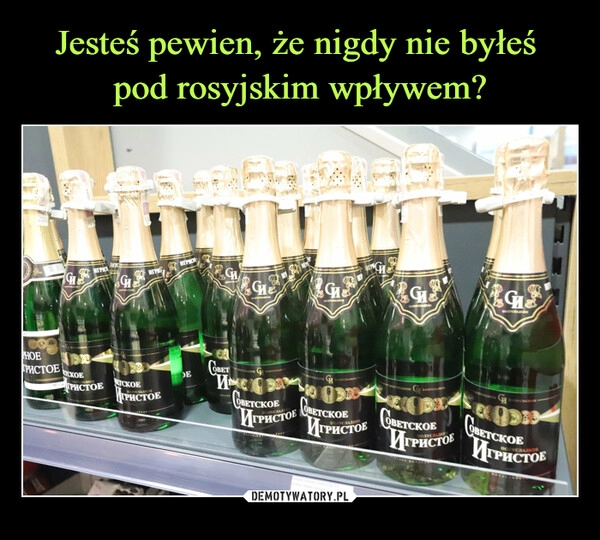 
    Jesteś pewien, że nigdy nie byłeś 
pod rosyjskim wpływem?