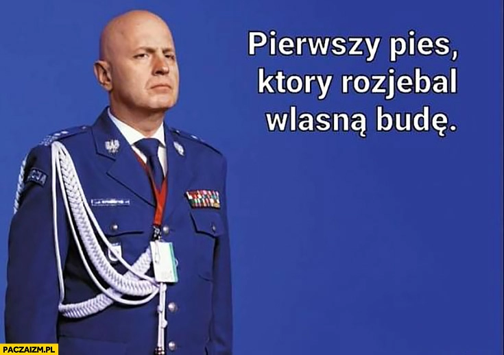 
    Szymczyk pierwszy pies który rozwalił własną budę