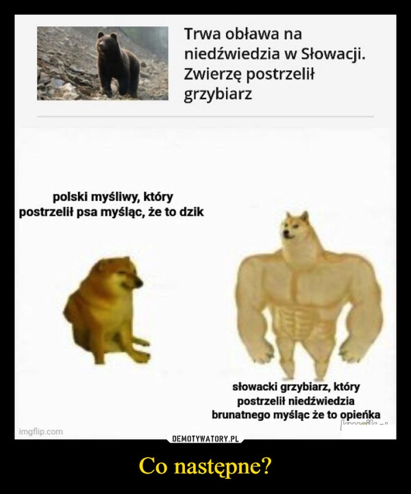 
    Co następne?