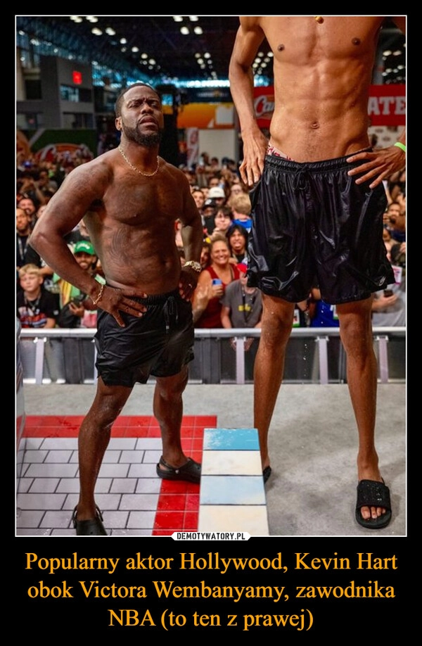 
    Popularny aktor Hollywood, Kevin Hart obok Victora Wembanyamy, zawodnika NBA (to ten z prawej)