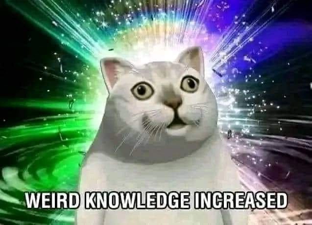 
    Share your weirdest knowledge