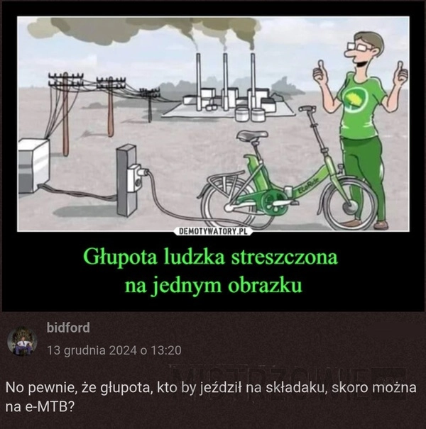 
    Głupota