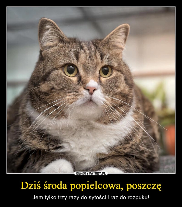 
    Dziś środa popielcowa, poszczę