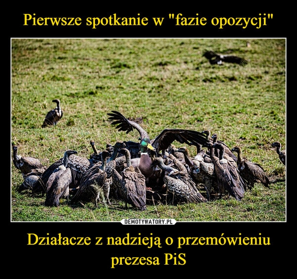 
    Pierwsze spotkanie w "fazie opozycji" Działacze z nadzieją o przemówieniu prezesa PiS