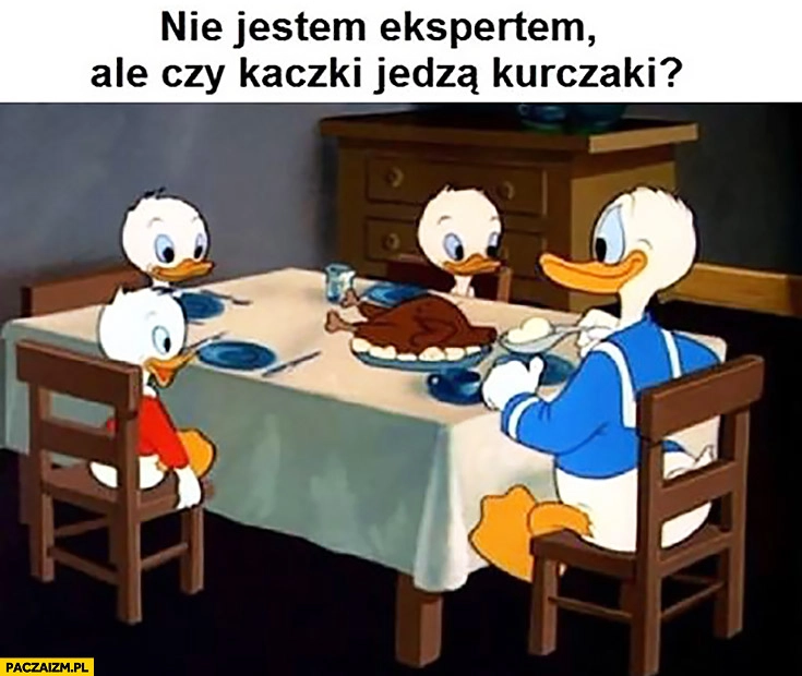 
    Nie jestem ekspertem, ale czy kaczki jedzą kurczaki? Kaczor Donald
