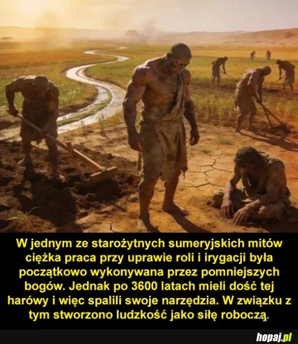 
    Tak było
