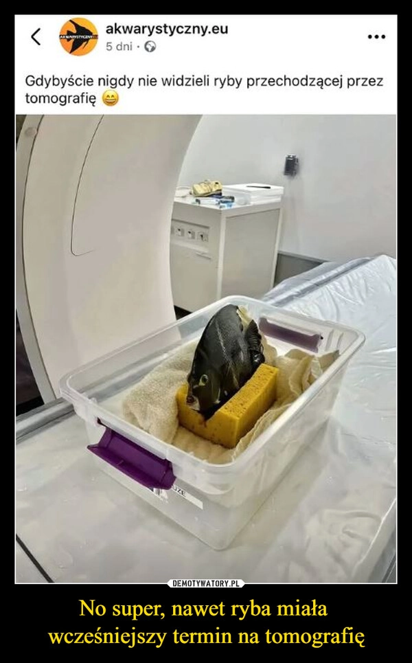 
    No super, nawet ryba miała 
wcześniejszy termin na tomografię