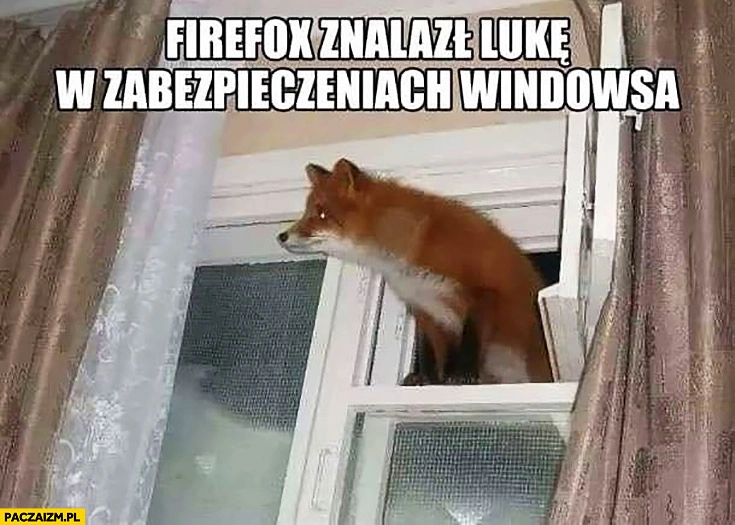 
    Firefox znalazł lukę w zabezpieczeniach Windowsa lis lisek w oknie wychodzi przez okno