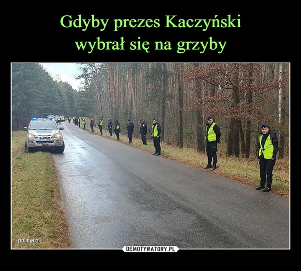 
    Gdyby prezes Kaczyński
wybrał się na grzyby