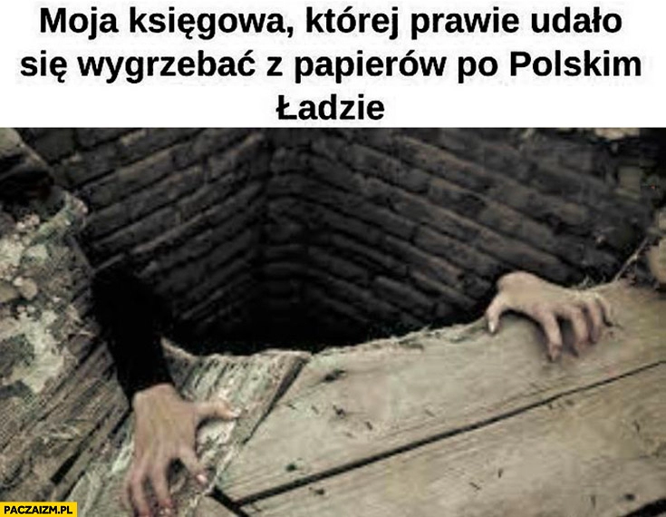 
    Moja księgowa której prawie udało się wygrzebać z papierów po polskim ładzie