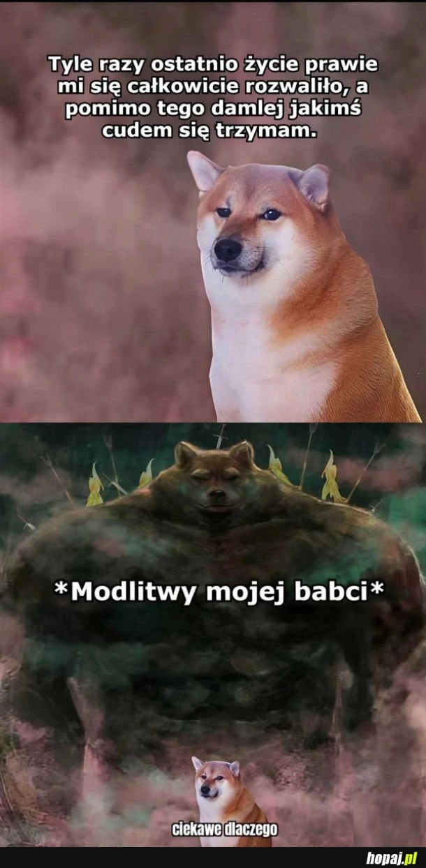 
    Potężna babcia