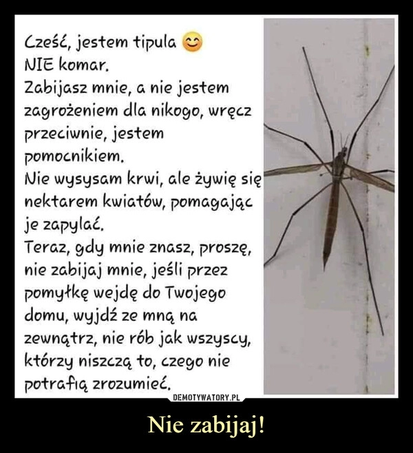 
    Nie zabijaj!