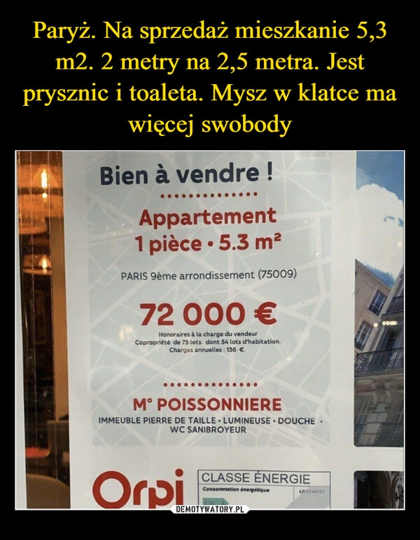 
    Paryż. Na sprzedaż mieszkanie 5,3 m2. 2 metry na 2,5 metra. Jest prysznic i toaleta. Mysz w klatce ma więcej swobody