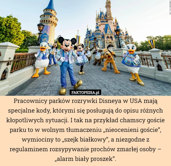 
    Pracownicy parków rozrywki Disneya w USA mają specjalne kody, którymi się