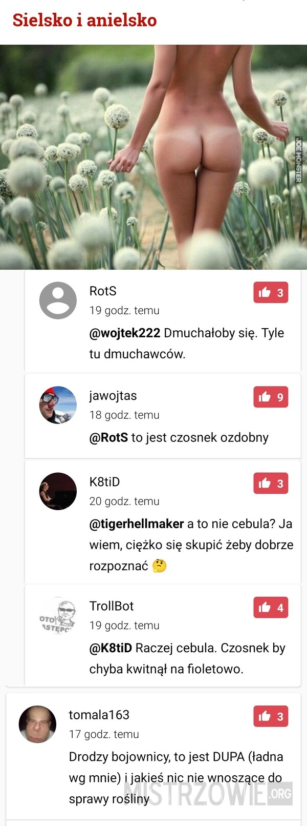 
    Sielsko i anielsko