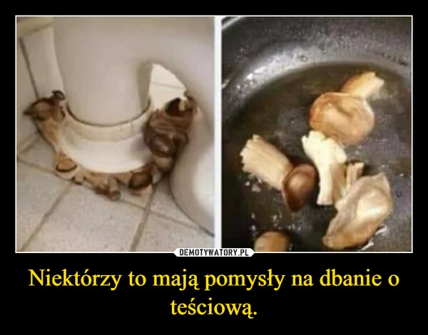 
    Niektórzy to mają pomysły na dbanie o teściową.