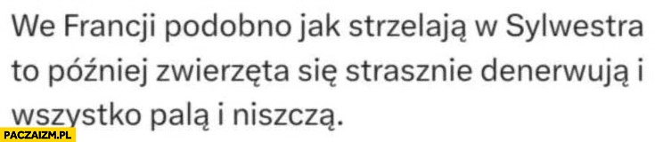 
    We Francji podobno jak strzelają w sylwestra to później zwierzęta się strasznie denerwują i wszystko palą i niszczą