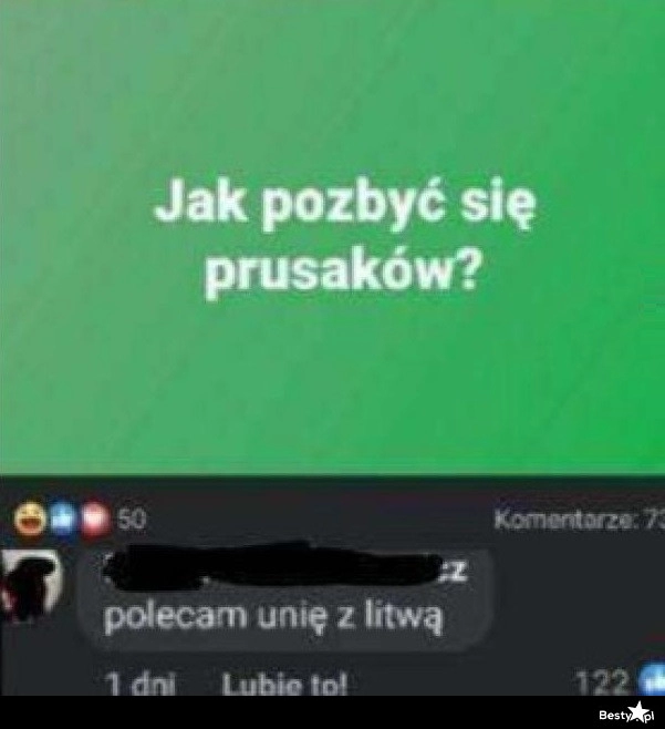 
    Jak pozbyć się prusaków? 