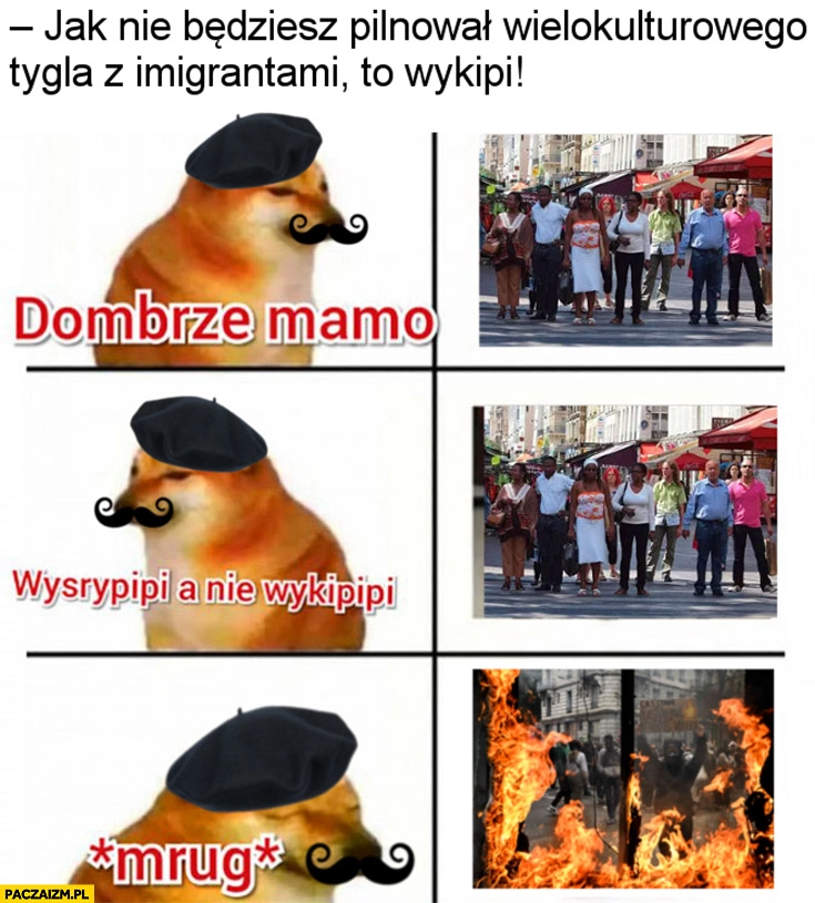 
    Jak nie będziesz pilnował wielokulturowego tygla z imigrantami to wykipi dobrze mamo wysrypi a nie wykipi mrug Paryż Francja zamieszki