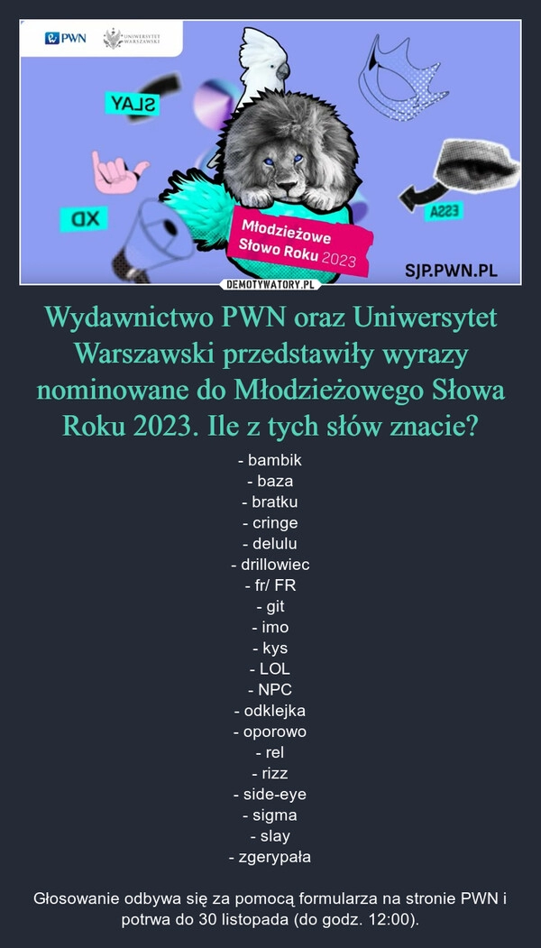 
    Wydawnictwo PWN oraz Uniwersytet Warszawski przedstawiły wyrazy nominowane do Młodzieżowego Słowa Roku 2023. Ile z tych słów znacie?