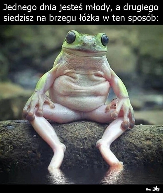 
    Kiedy to się stało?! 