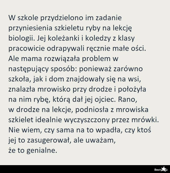 
    Pomysłowa mama 