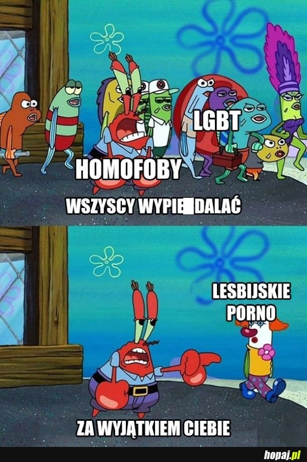 
    Homofoby takie są