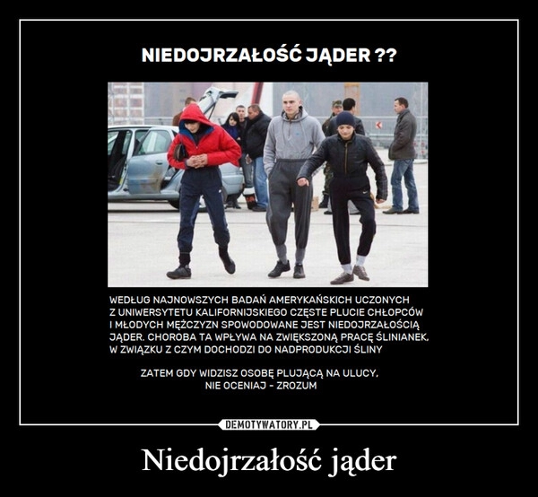 
    Niedojrzałość jąder