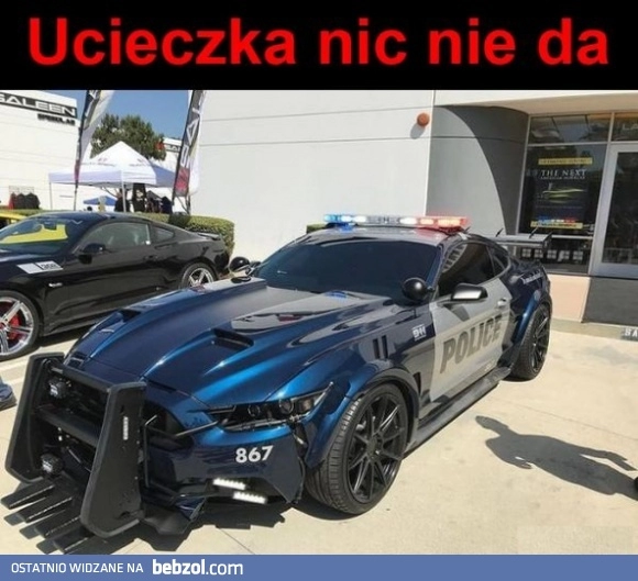 
    I to jest policja!