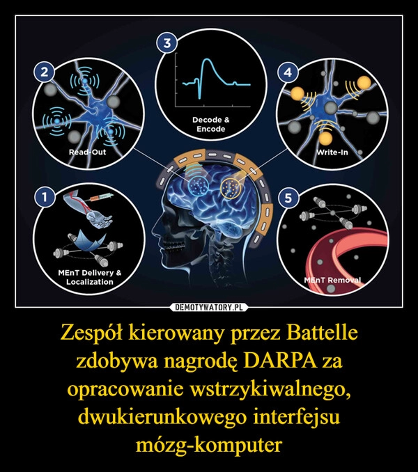 
    Zespół kierowany przez Battelle zdobywa nagrodę DARPA za opracowanie wstrzykiwalnego, dwukierunkowego interfejsu mózg-komputer