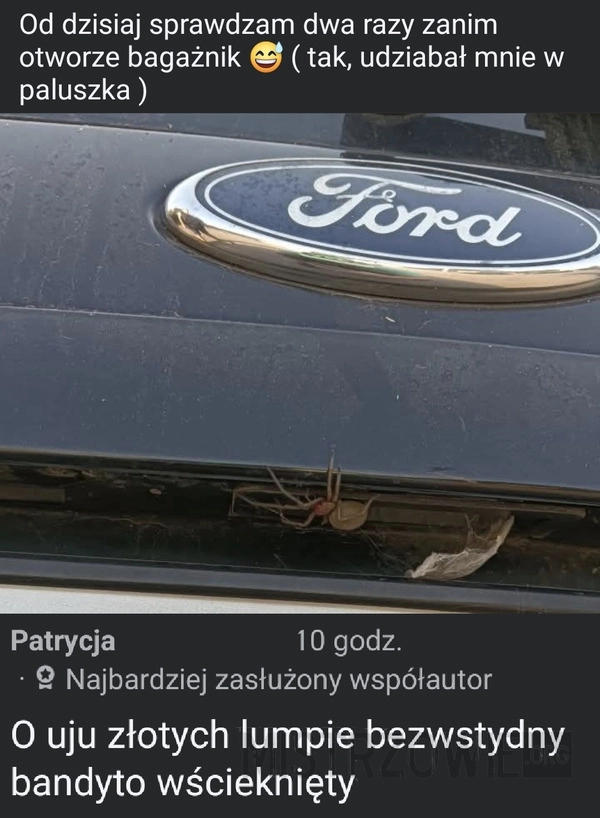 
    Wredny pająk