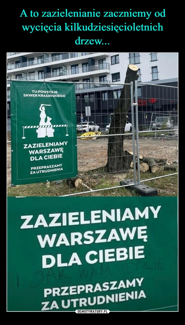 
    A to zazielenianie zaczniemy od wycięcia kilkudziesięcioletnich drzew...