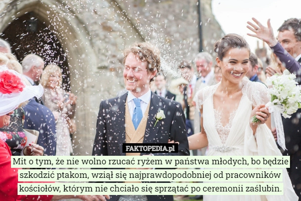 
    
			Mit o tym, że nie wolno rzucać ryżem w państwa młodych, bo będzie szkodzić...					