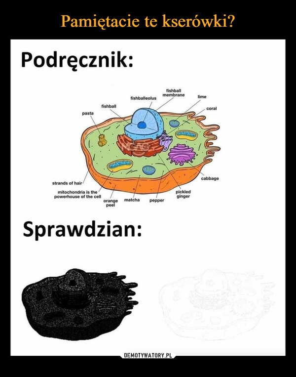 
    Pamiętacie te kserówki?