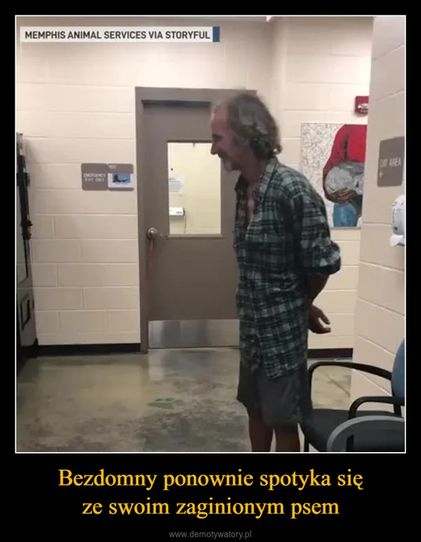 
    Bezdomny ponownie spotyka się ze swoim zaginionym psem