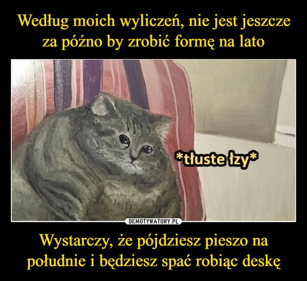 
    Według moich wyliczeń, nie jest jeszcze za późno by zrobić formę na lato Wystarczy, że pójdziesz pieszo na południe i będziesz spać robiąc deskę