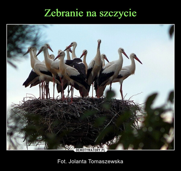 
    Zebranie na szczycie