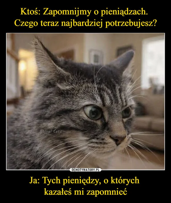 Ktoś: Zapomnijmy o pieniądzach. Czego teraz najbardziej potrzebujesz? Ja: Tych pieniędzy, o których kazałeś mi zapomnieć