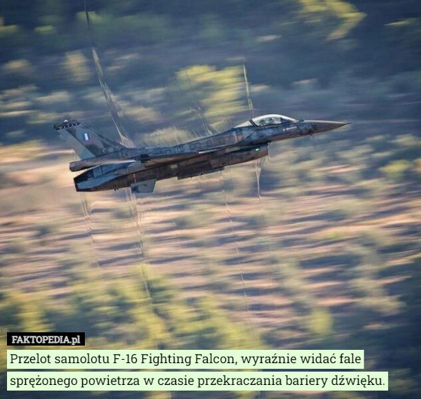 
    Przelot samolotu F-16 Fighting Falcon, wyraźnie widać fale sprężonego powietrza