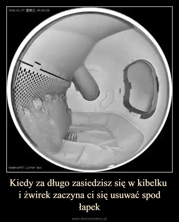 
    Kiedy za długo zasiedzisz się w kibelku i żwirek zaczyna ci się usuwać spod łapek