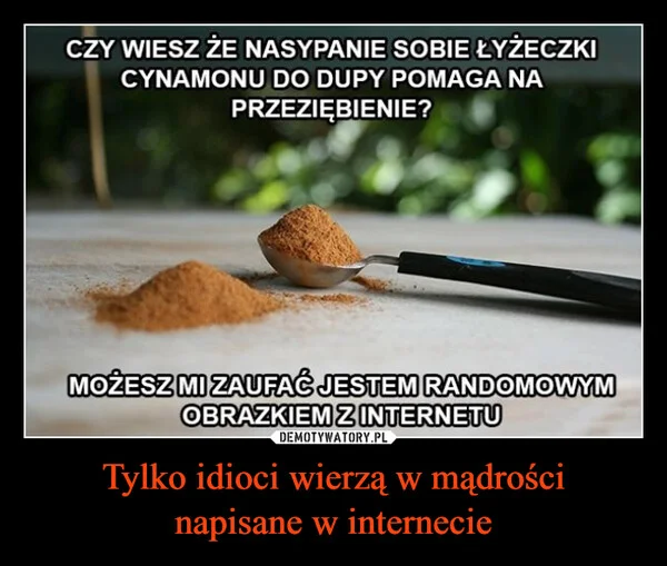 
    Tylko idioci wierzą w mądrości napisane w internecie